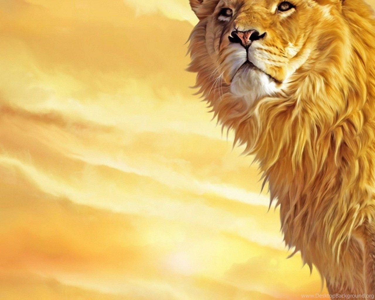 1280x1024 Lion HD Wallpaper Free Download Tremendous Wallpaper Desktop Background
