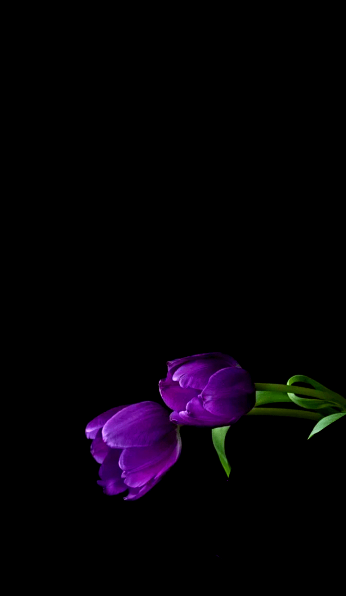 1115x1920 mennyfox55. Sunflower wallpaper, Beautiful flowers, Purple wallpaper