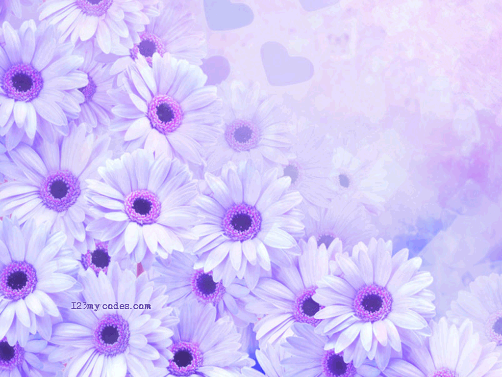 1024x768 Flowers For Background