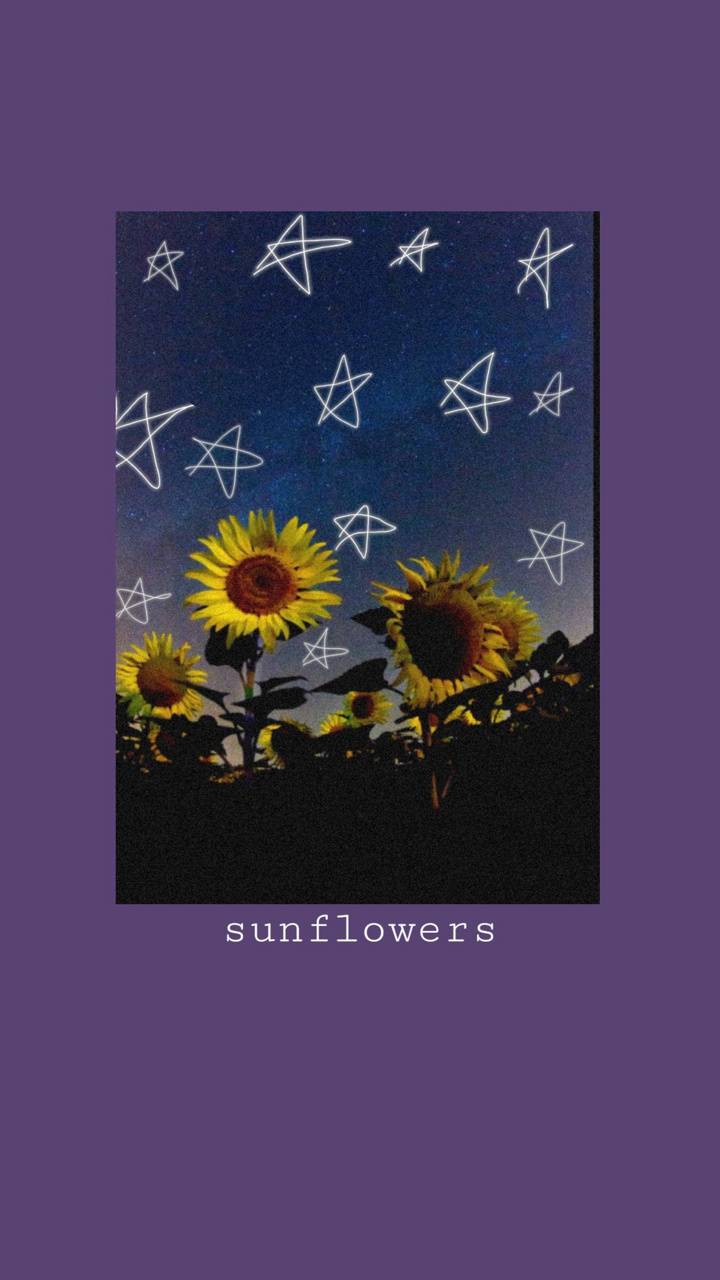 720x1280 Aesthetic sunflowers wallpaper