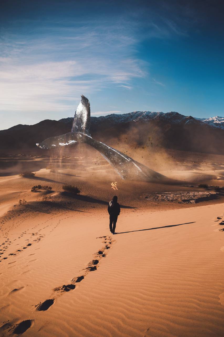 853x1280 Desert Whale wallpaper