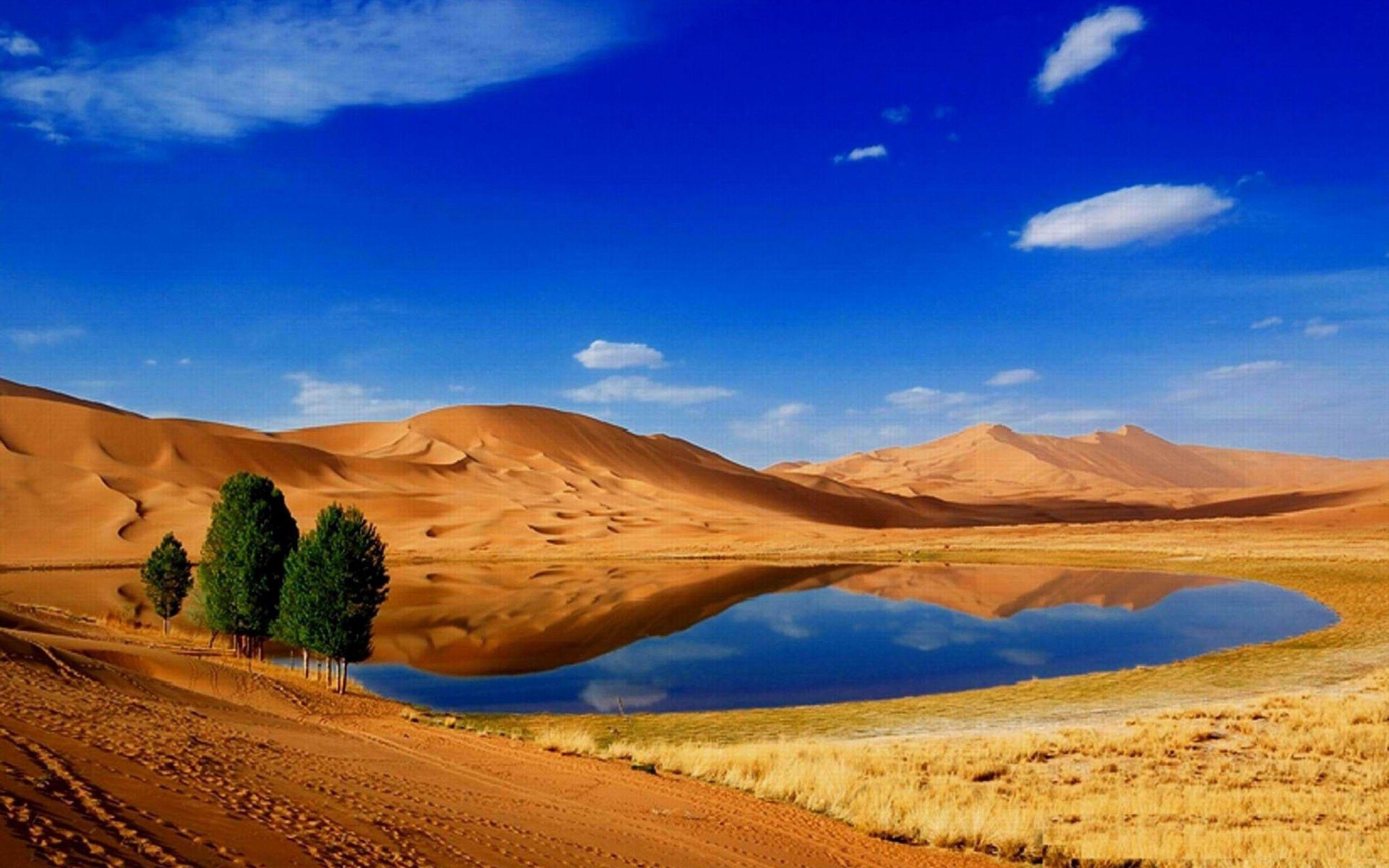2560x1600 Desert Wallpaper High Resolution Wallpaper