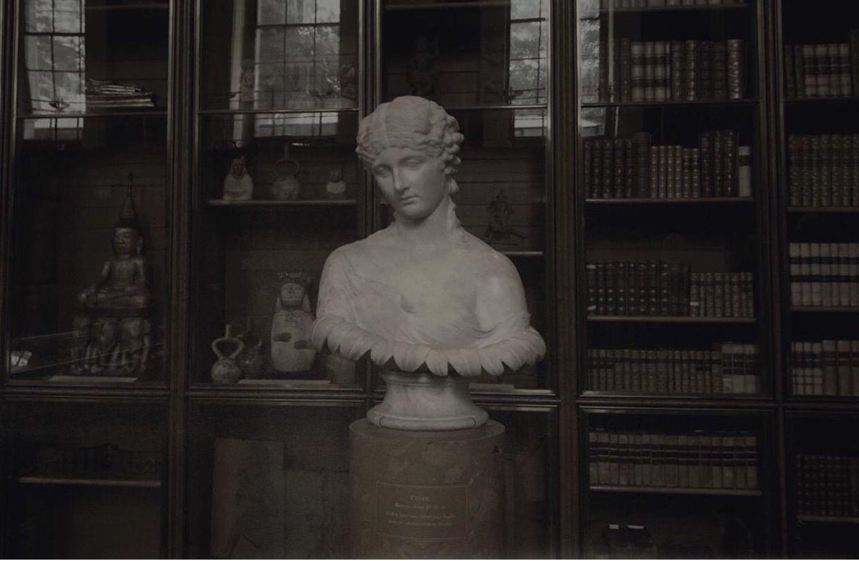 1242x811 image about dark academia. See more about dark academia, aesthetic and book