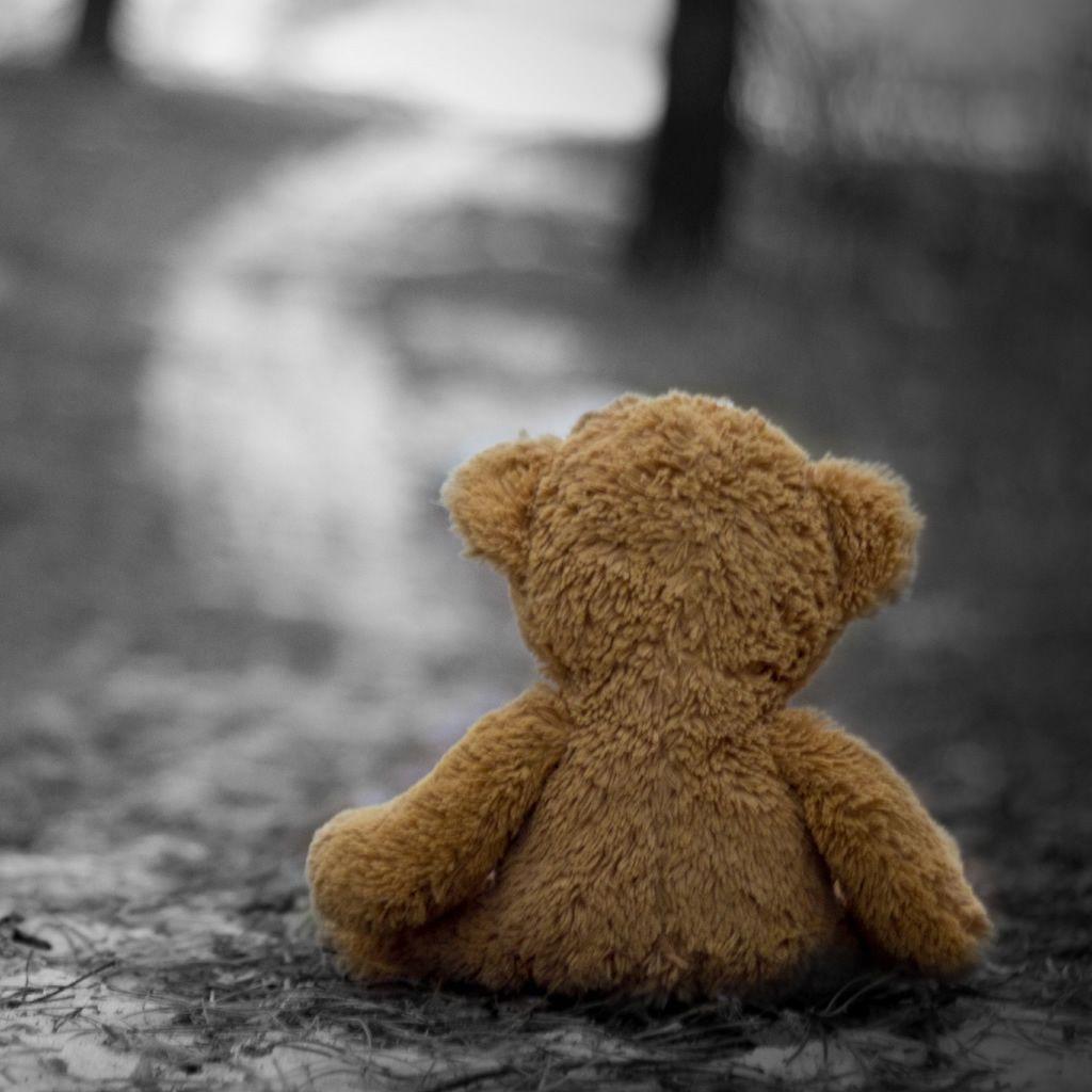 1024x1024 Bear iPhone Background. Bear Wallpaper, Lonely Teddy Bear Wallpaper and Sad Teddy Bear Wallpaper