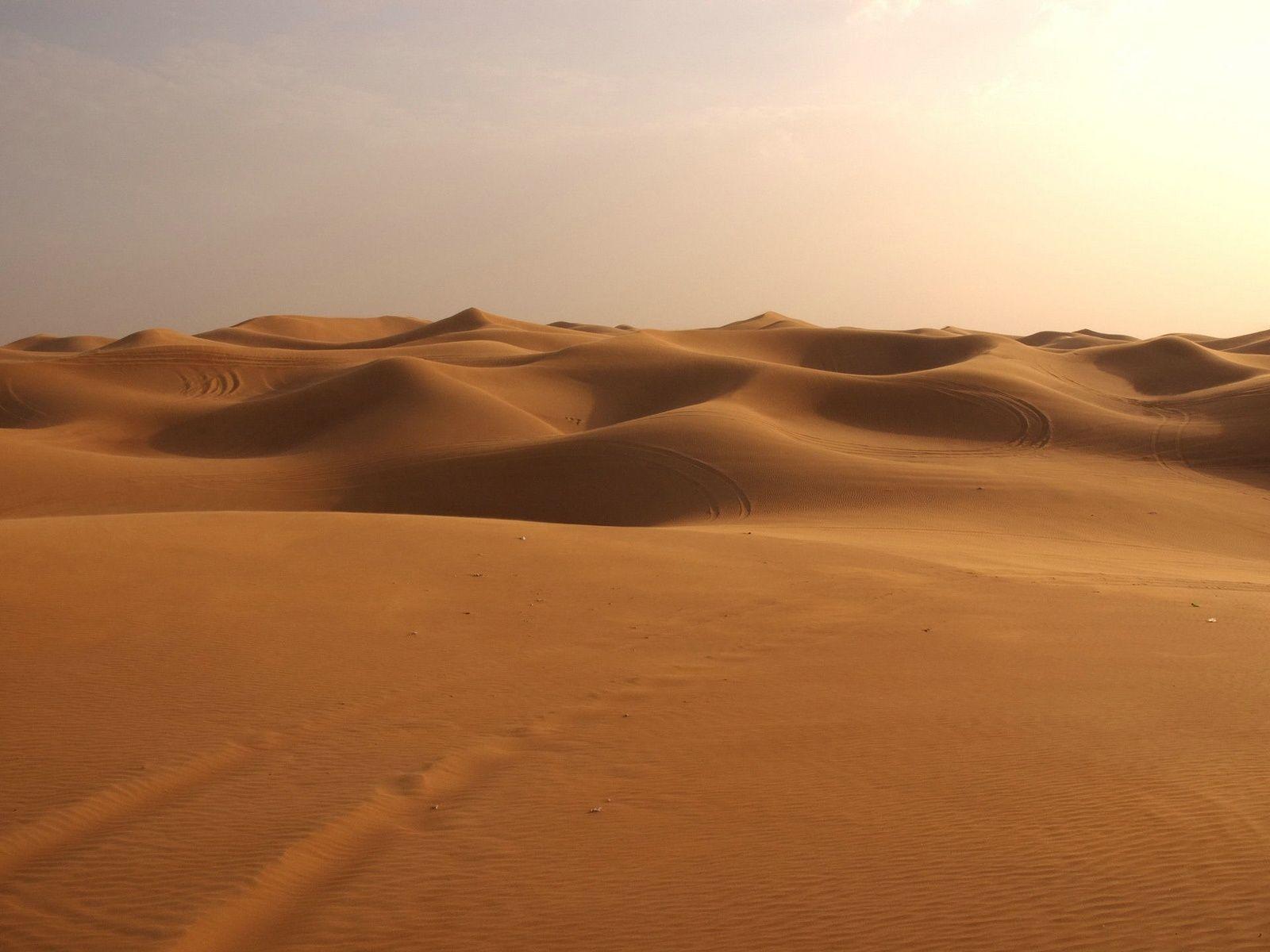 Sahara Desert Wallpapers - Top Free Sahara Desert Backgrounds ...