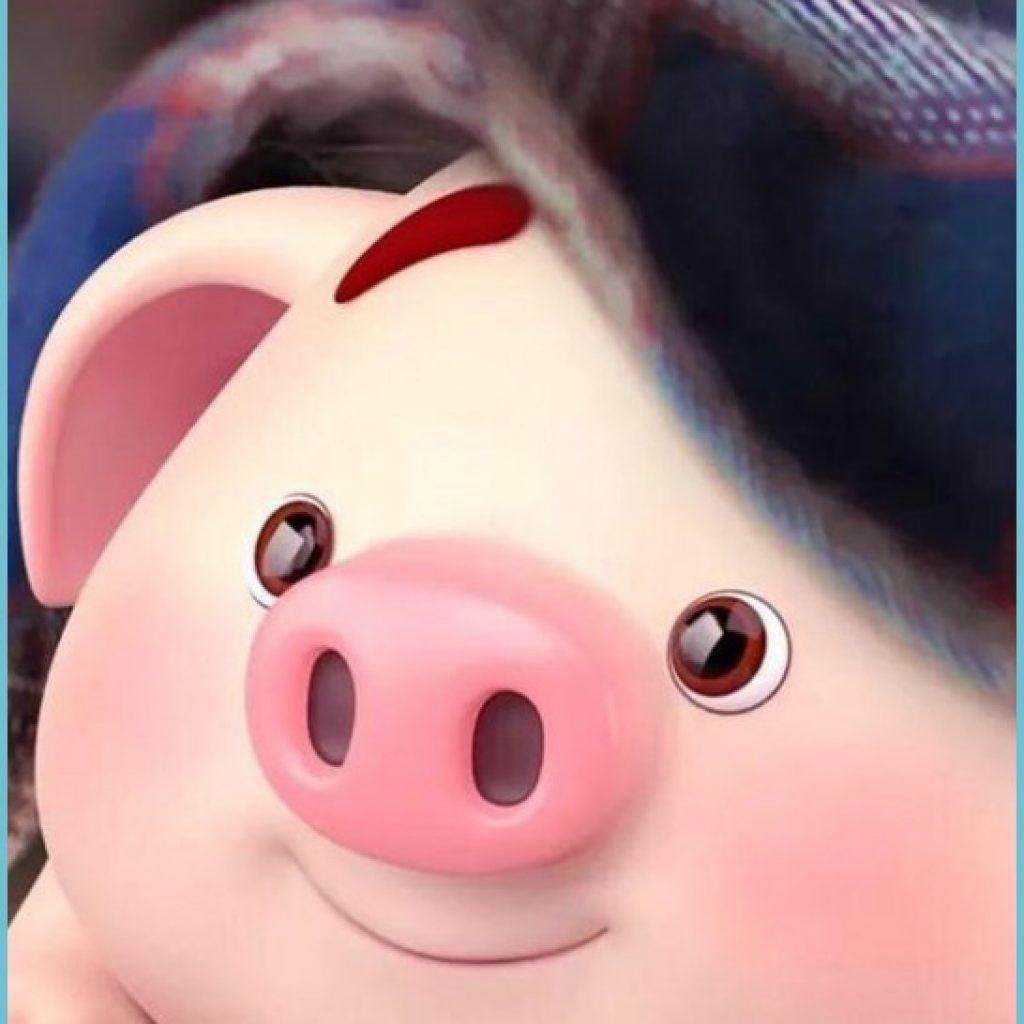 1024x1024 wallpaper #wallpapercute #wallpapercantik #wallpaperhp #hp #iphone pig wallpaper