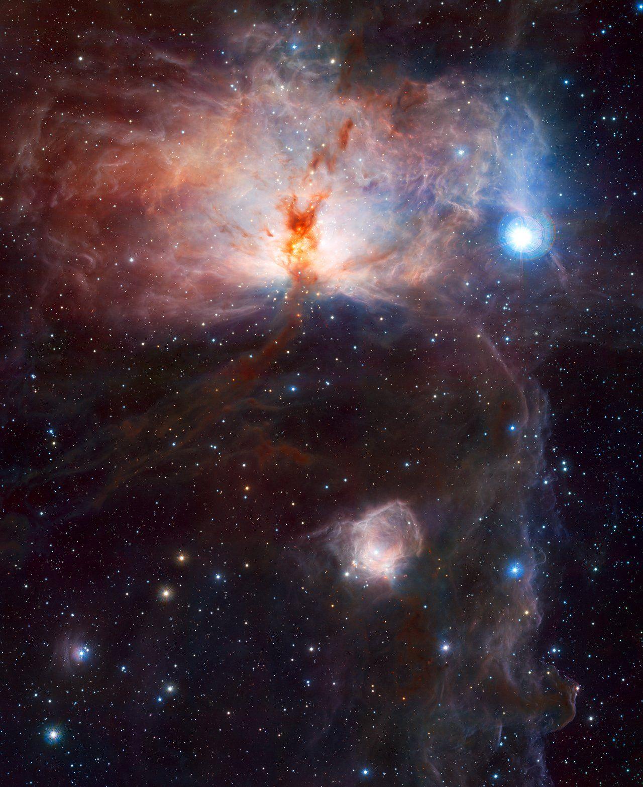 1280x1566 The hidden fires of the Flame Nebula*