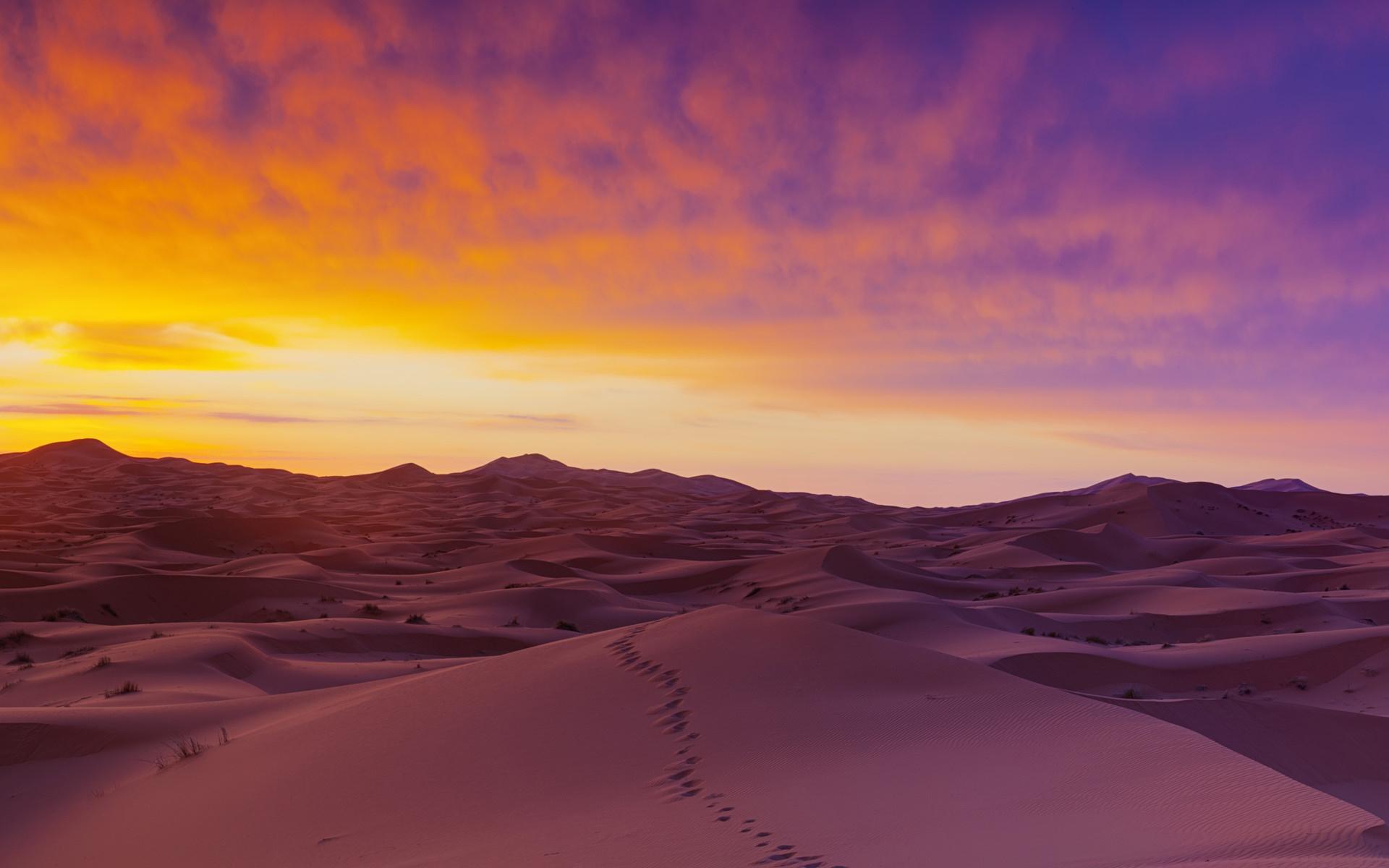 1920x1200 Sahara Desert Sand Dunes Wallpaper