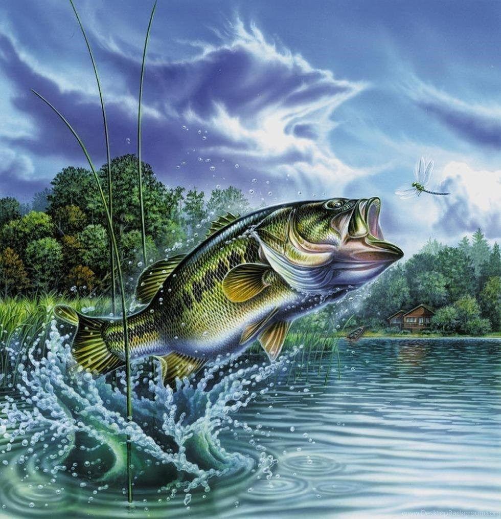 980x1014 Bass Fishing Desktop Background