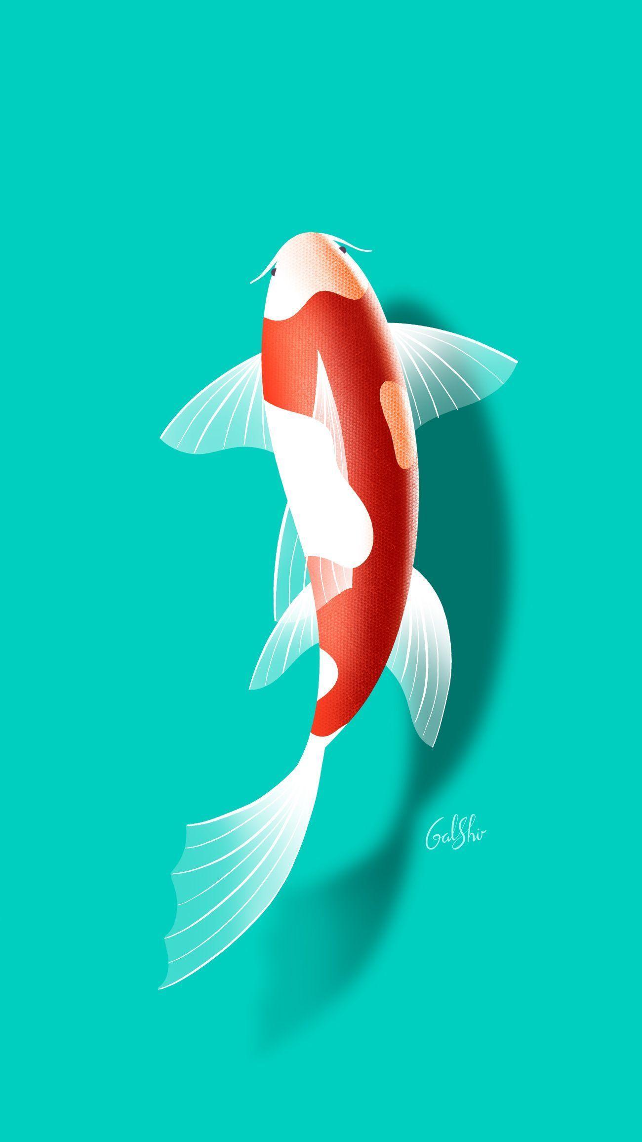 lucky fish wallpaper hd 4k phone