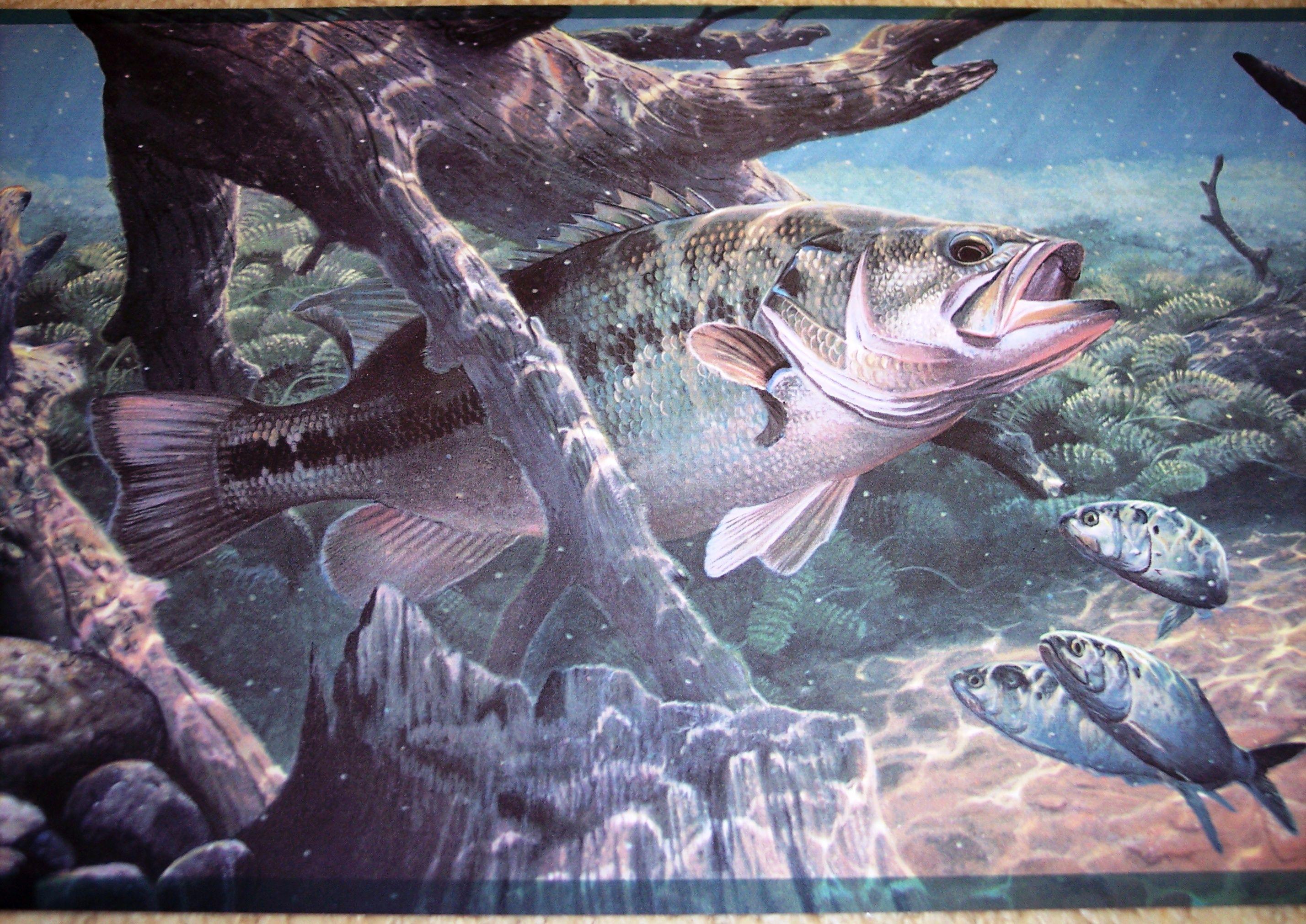 2856x2022 Free download Bass Fishing Art Wallpaper [2856x2022] for your Desktop, Mobile & Tablet. Explore Bass Fishing Wallpaper. Fishing Wallpaper HD