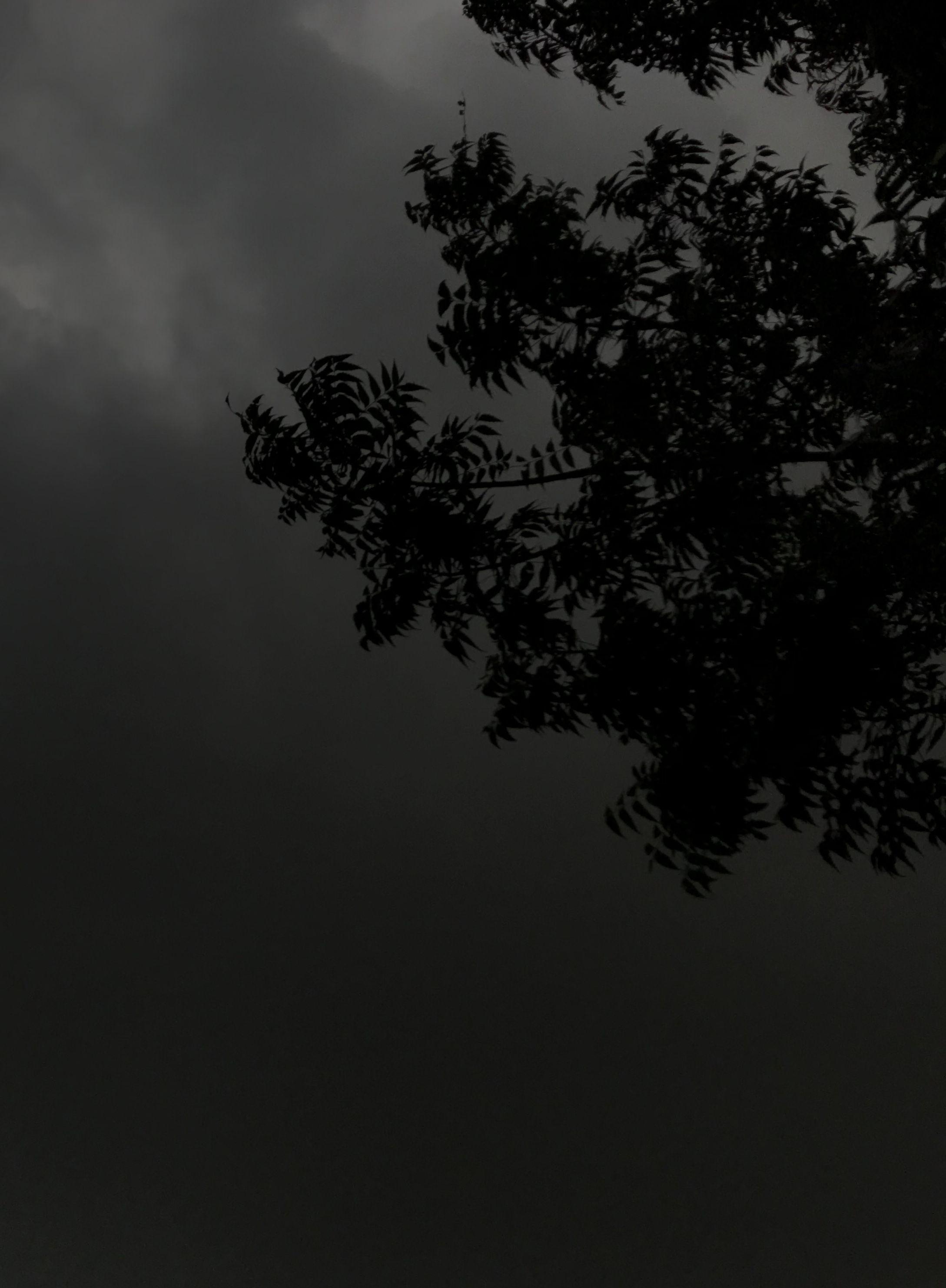 2177x2962 iPhone 11 #ios13wallpaper New dark theme wallpaper for ios 13 #ios13wallpaper iPhone 11 #ios13. Old iphone wallpaper, Dark wallpaper iphone, iPhone wallpaper ios