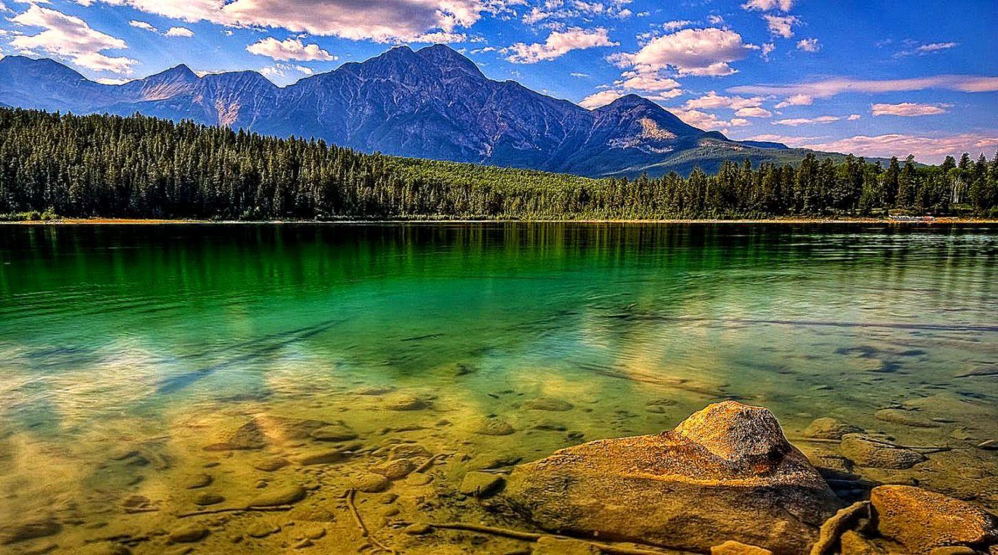 1456x810 Free download Bass Fishing Wallpaper For gt Bass Fish [1456x810] for your Desktop, Mobile & Tablet. Explore Bass Fish Wallpaper. Fish Wallpaper, Largemouth Bass Fishing Wallpaper, HD Bass Fishing Wallpaper
