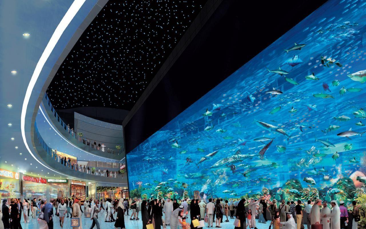 1280x800 Cauta Dubai