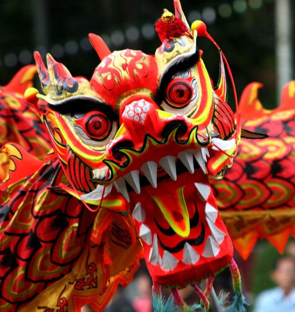 945x997 chinese new year. Chinese New Year Dragon. HD Wallpaper Fan. Full HD Wallpaper 1080p. Chinese new year dragon, Chinese new year traditions, Year of the dragon