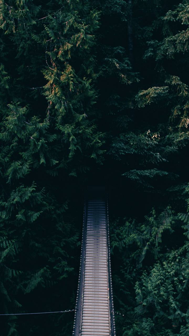 720x1280 Forest Bridge wallpaper