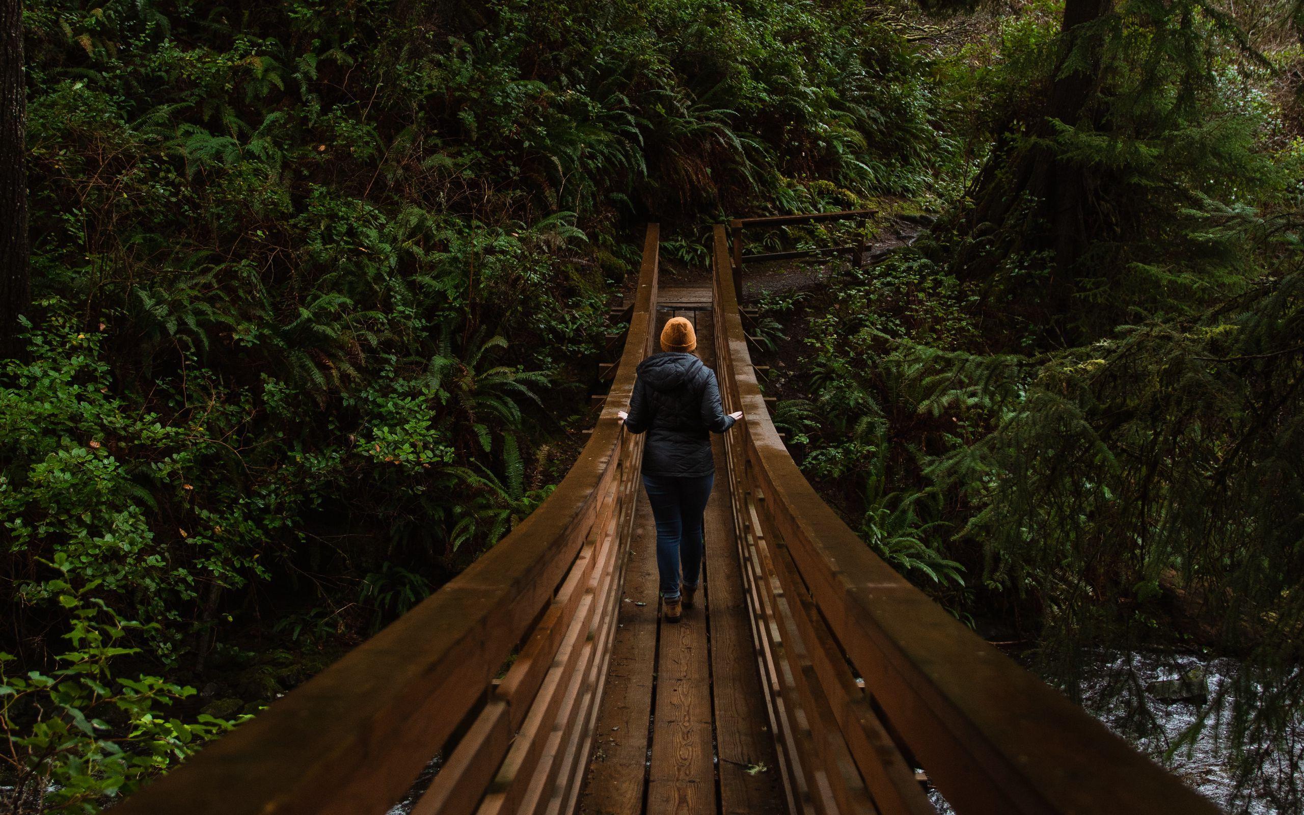 2560x1600 Download wallpaper 2560x1600 bridge, person, forest, nature widescreen 16:10 HD background