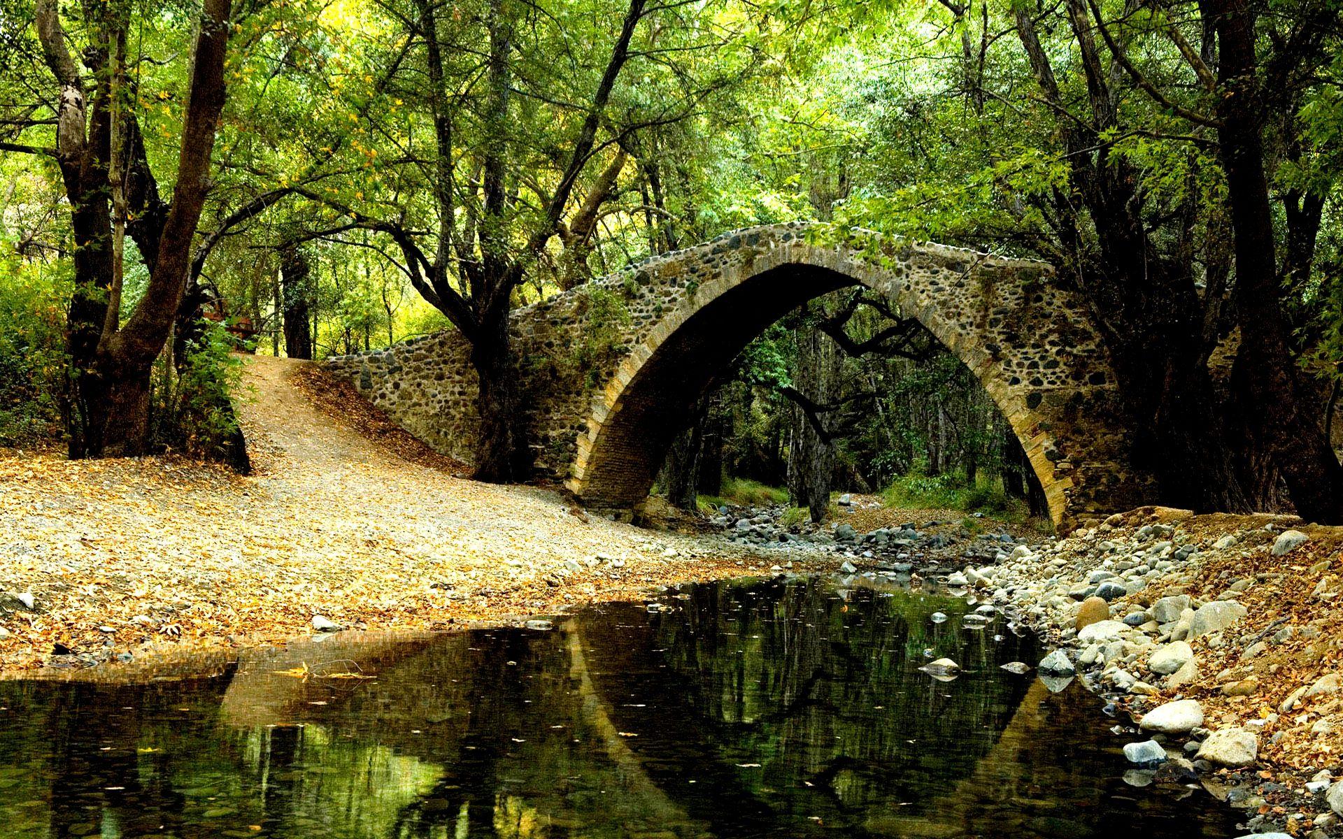 1920x1200 Pretty Forest Bridge wallpaperx1200