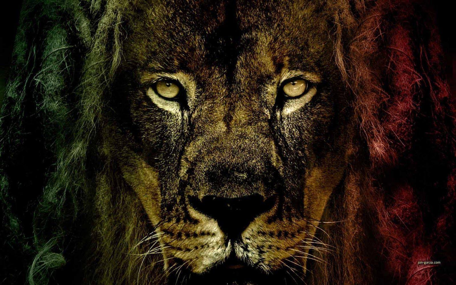 1600x1000 Rasta Lion Wallpaper HD
