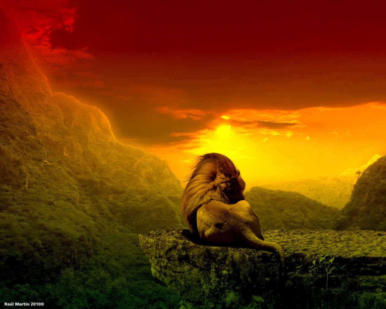 1280x1025 High Quality Reggae Lion Wallpaper
