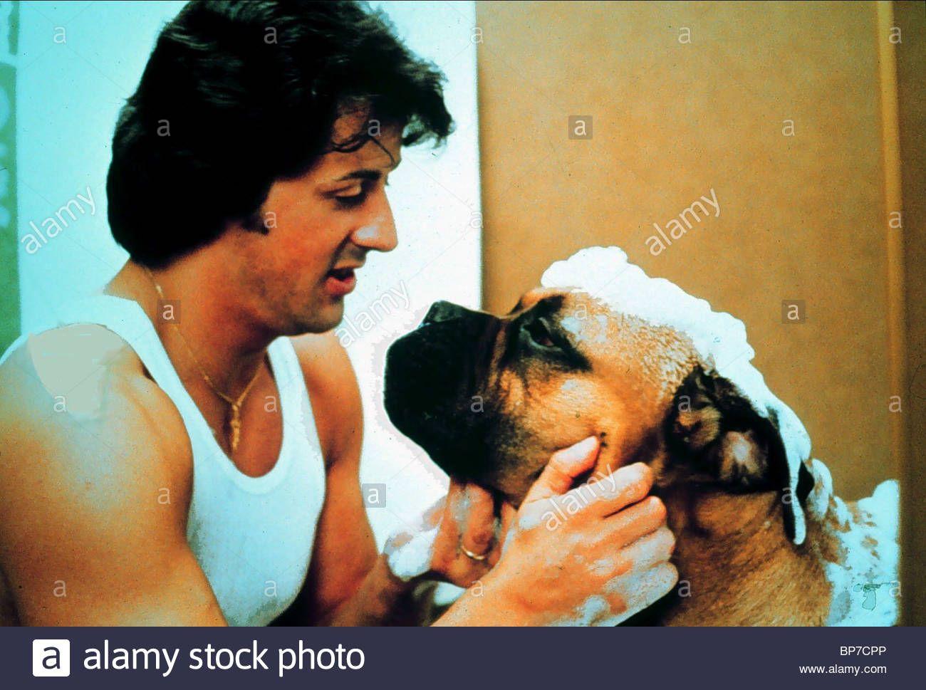 1300x969 Rocky II wallpaper, Movie, HQ Rocky II pictureK Wallpaper 2019
