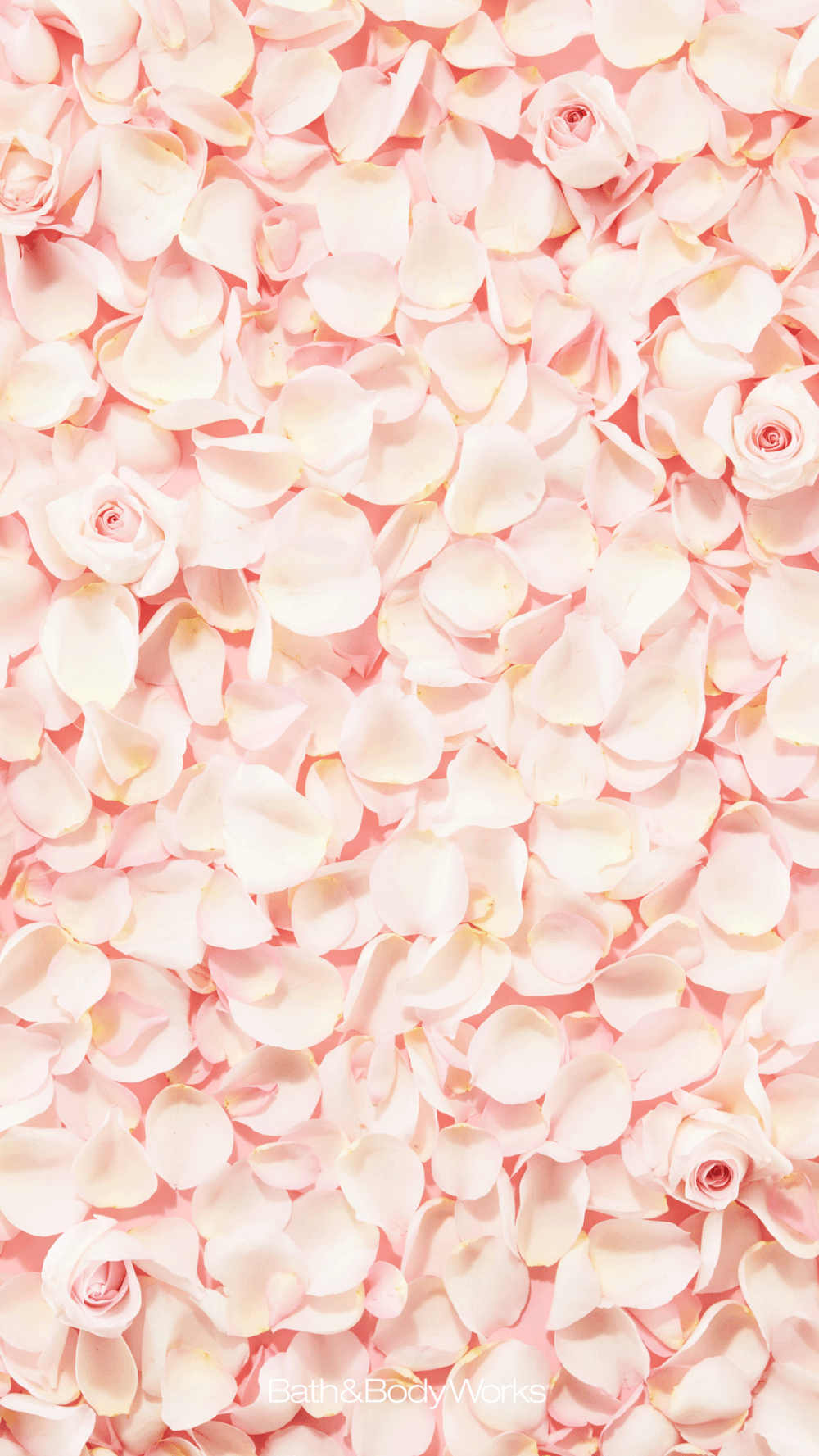 1000x1777 Rose Petals iPhone Wallpaper Background. Teal wallpaper iphone, iPhone wallpaper, Wallpaper background