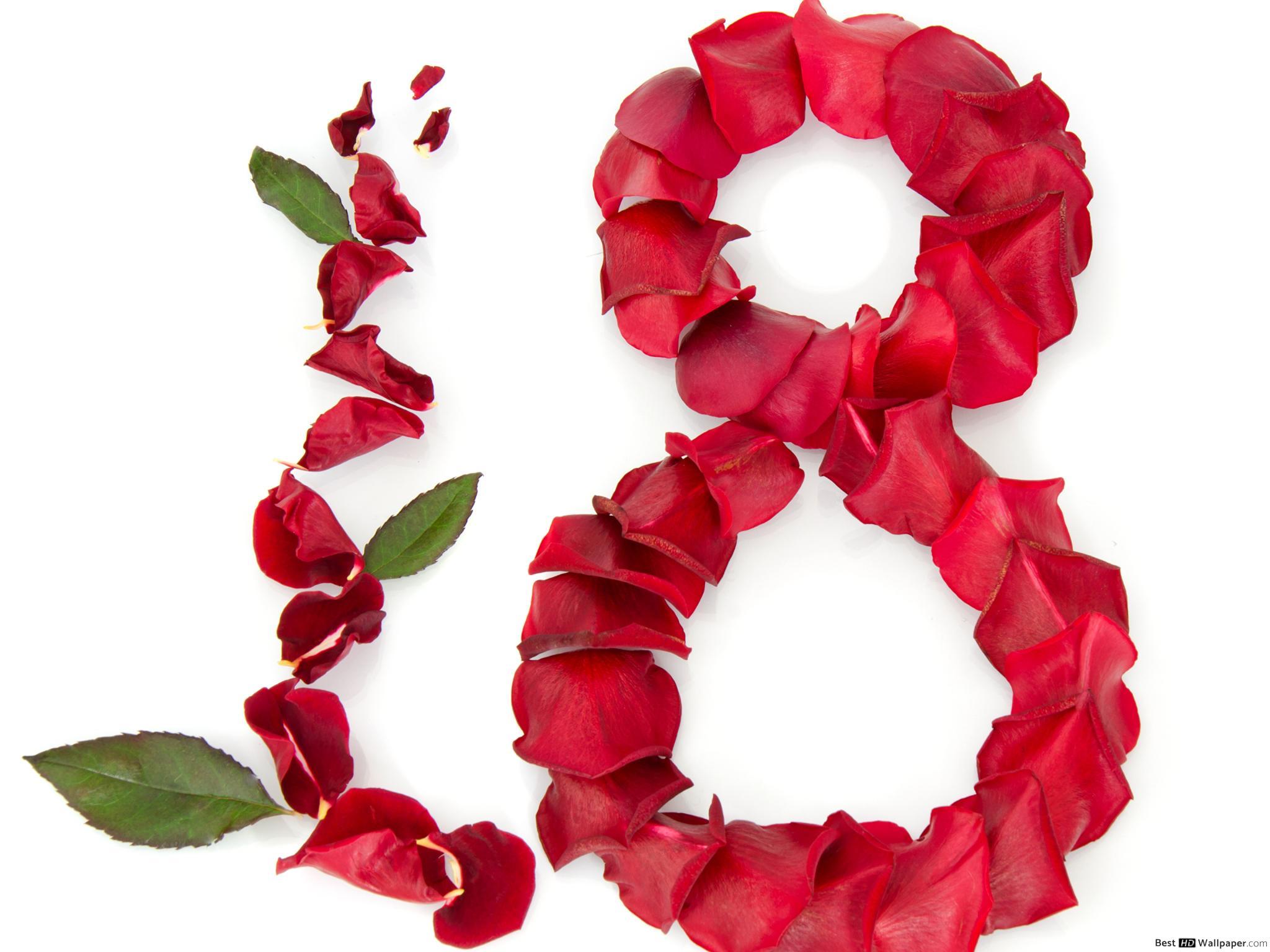 2048x1536 Women's Day rose petals HD wallpaper download