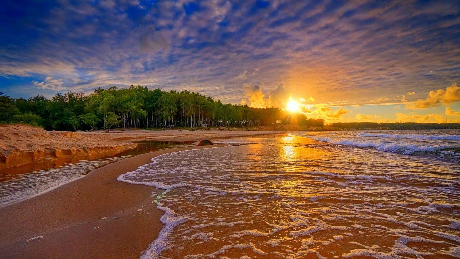 Forest Beach Wallpapers - Top Free Forest Beach Backgrounds - WallpaperAccess