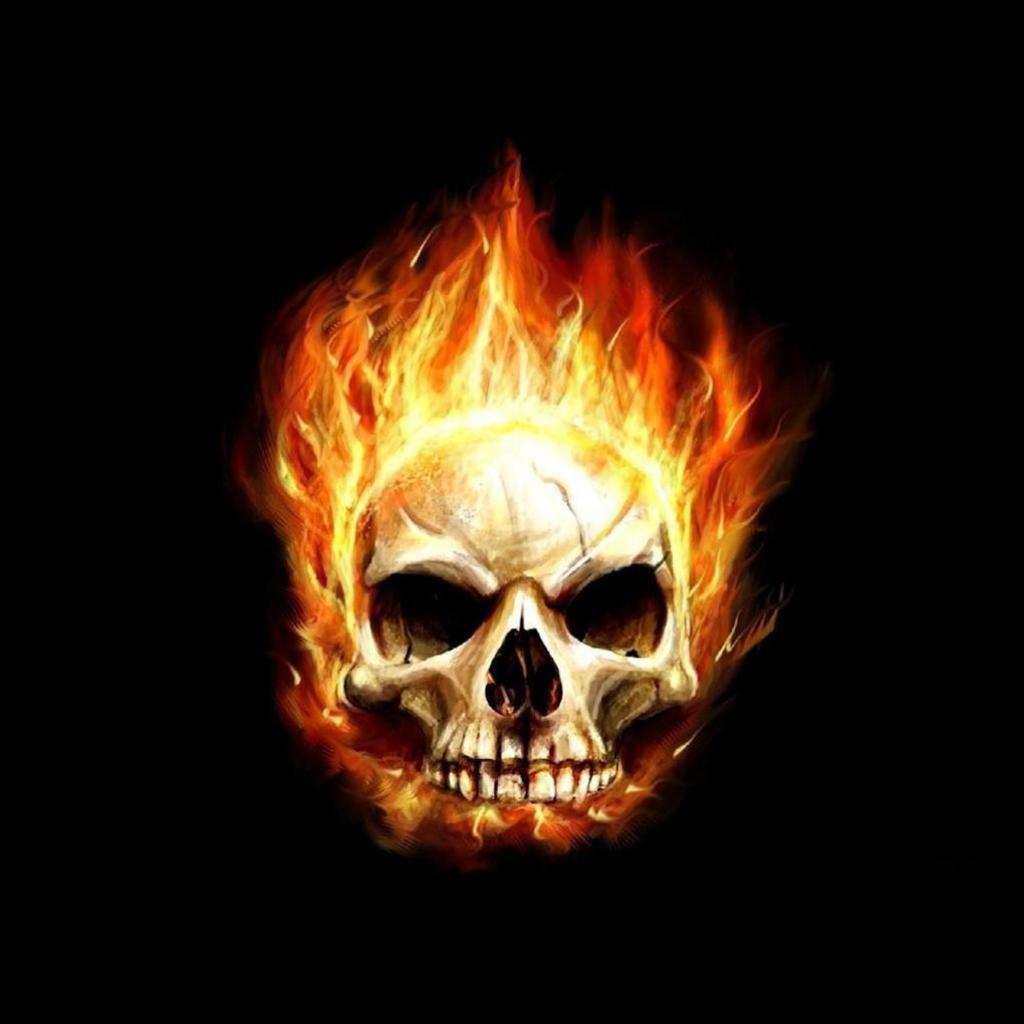 1024x1024 skull.. skull wallpaper skull skull avatars war skulls skulls