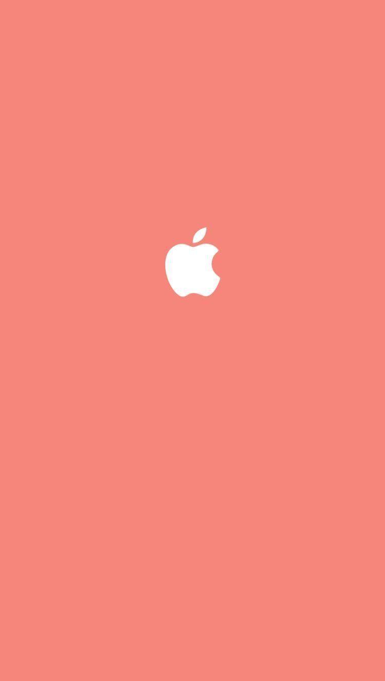 Cute Apple Logo Wallpapers - Top Free Cute Apple Logo Backgrounds 