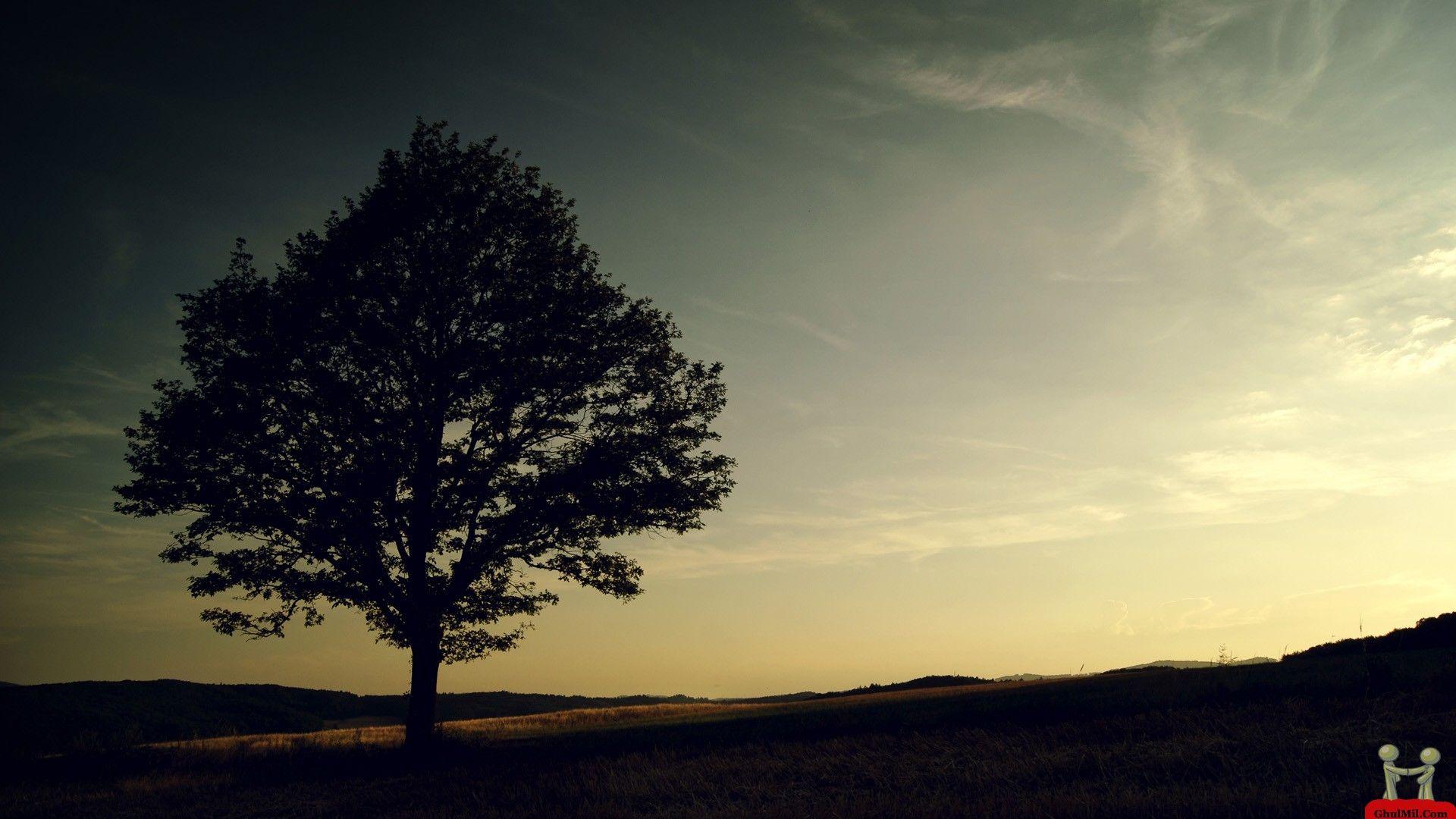 1920x1080 Alone Wallpaper (40)
