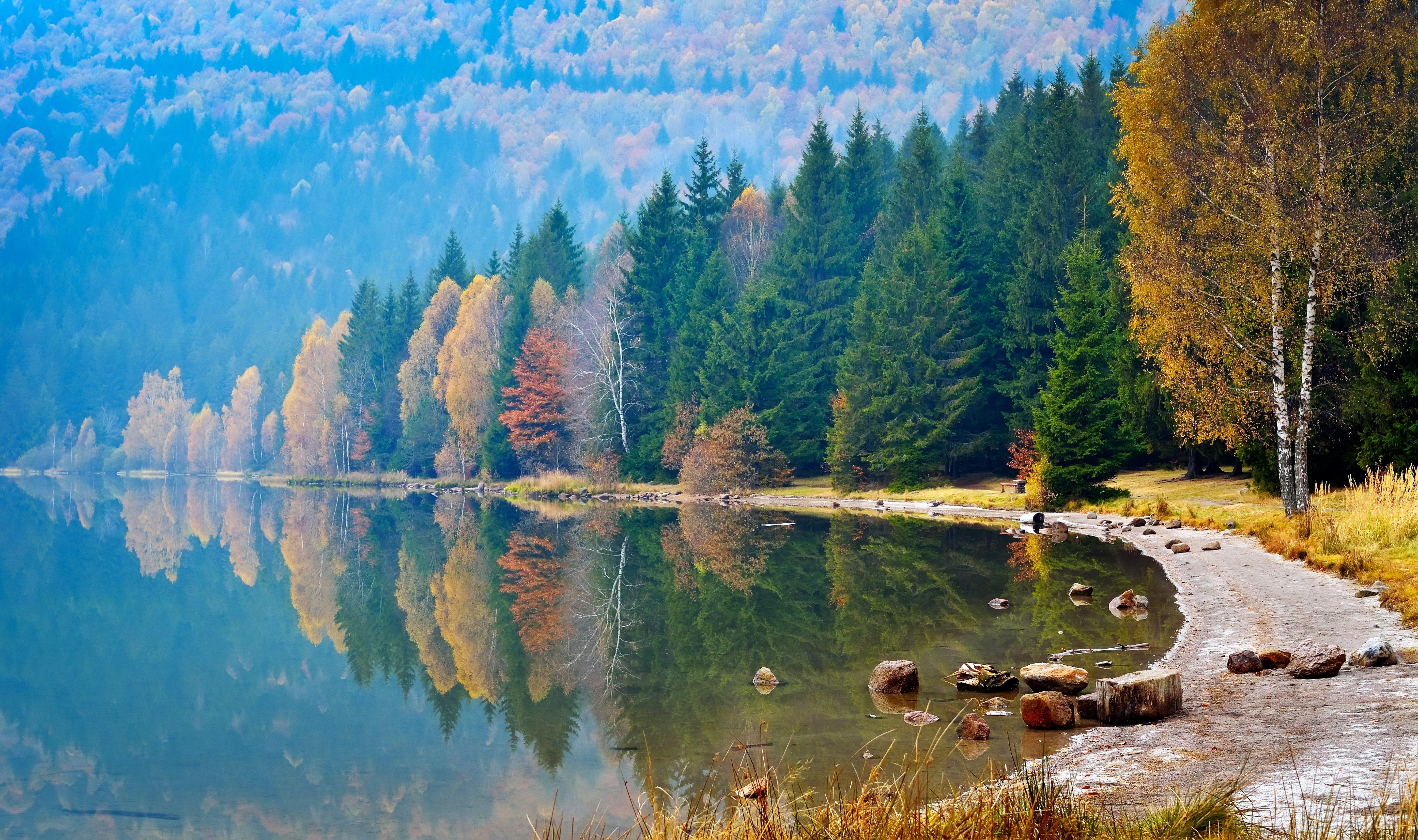 5580x3305 Rivers: River Nature Beach Coast Forest Autumn HD Live Wallpaper
