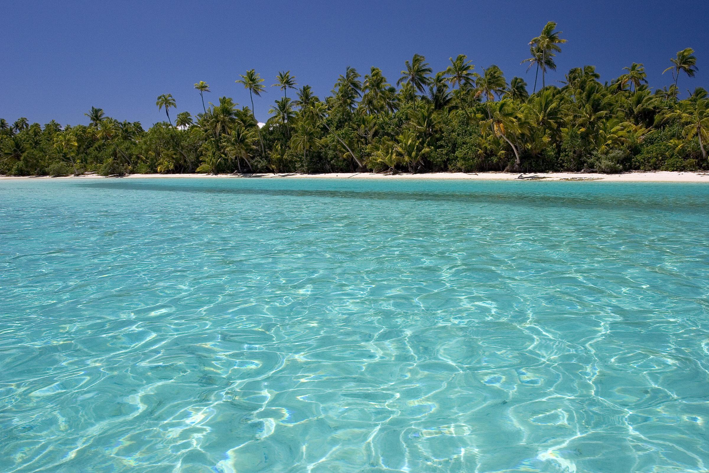 2400x1600 Forest beach wallpaper