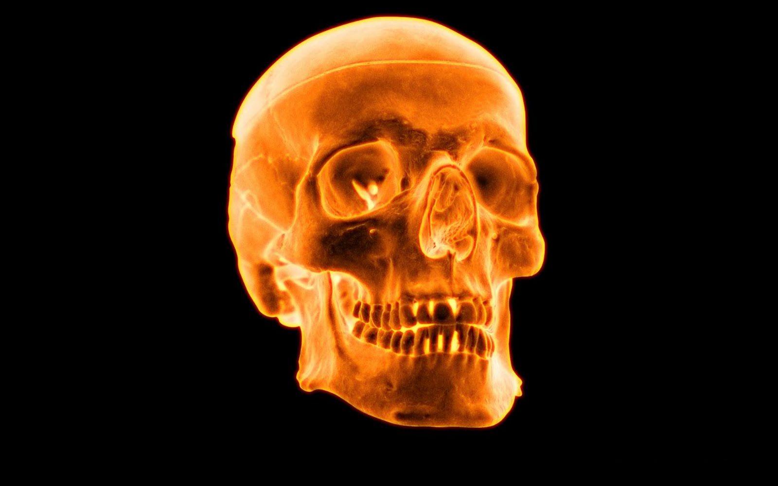 1600x1000 Cool D Hd Skull Wallpaper Cool D Flaming Skull Wallpaper Hd
