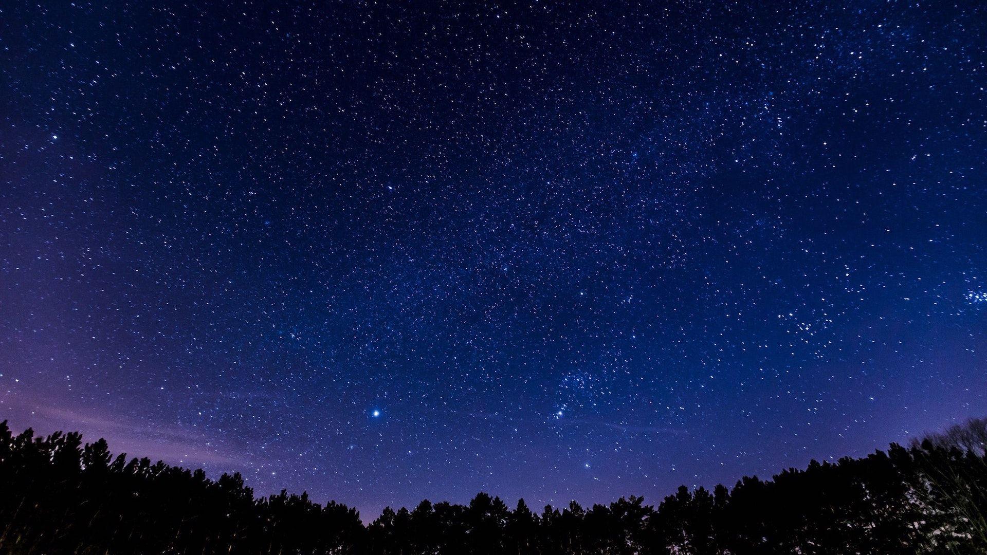 1920x1080 Panoramic Night Sky Stars Forest Wallpaper Image High Quality