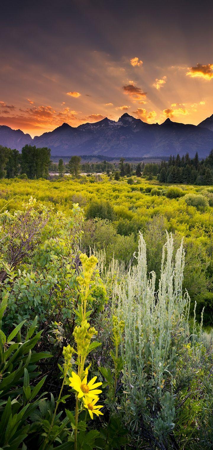 720x1520 Vivo Y83 Wallpaper Best Full HD Resolution
