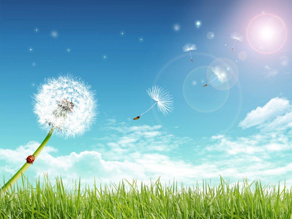1024x768 Summer Desktop Background. Summer Wallpaper, Cute Summer Wallpaper and Summer iPhone Wallpaper