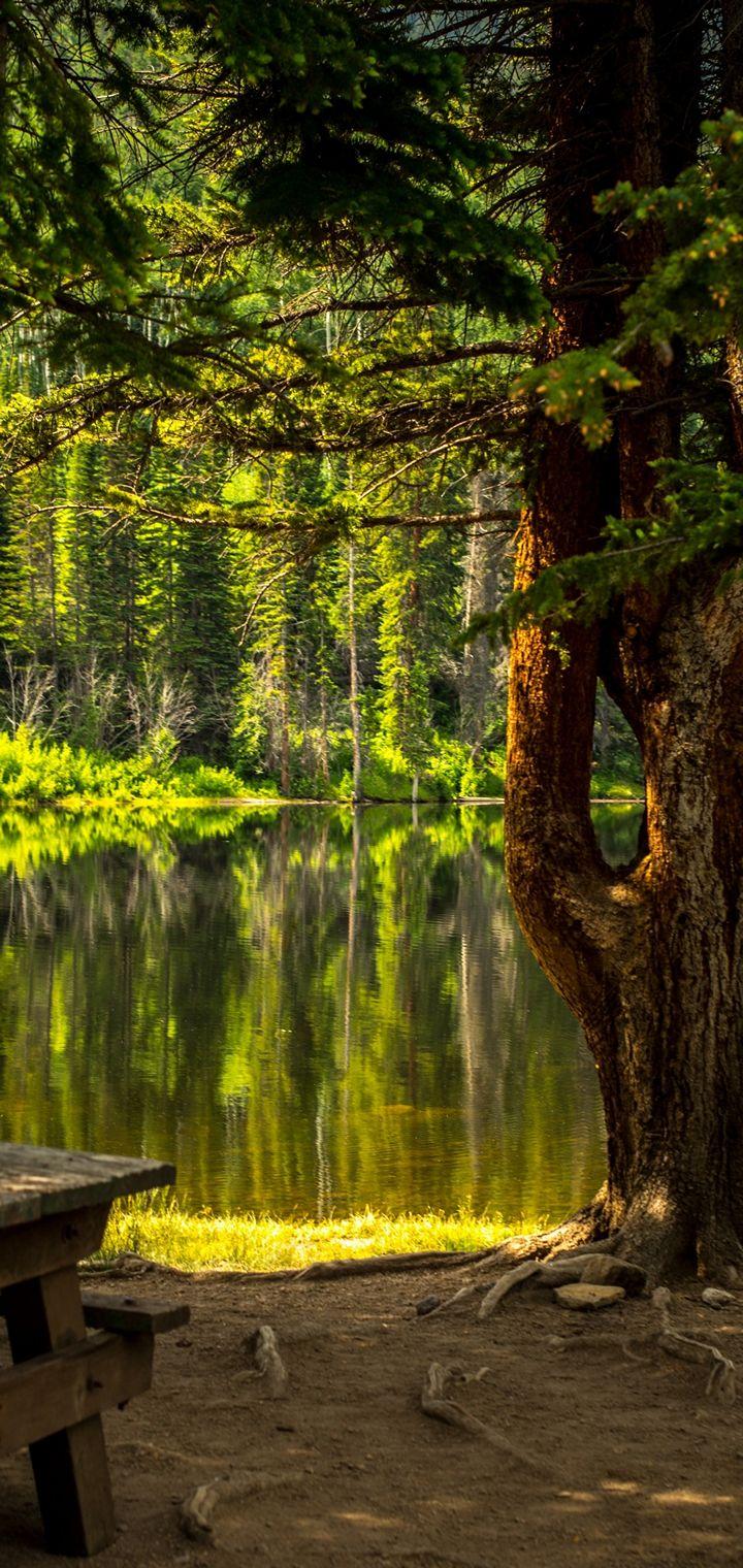 720x1520 Vivo Y83 Wallpaper Best Full HD Resolution