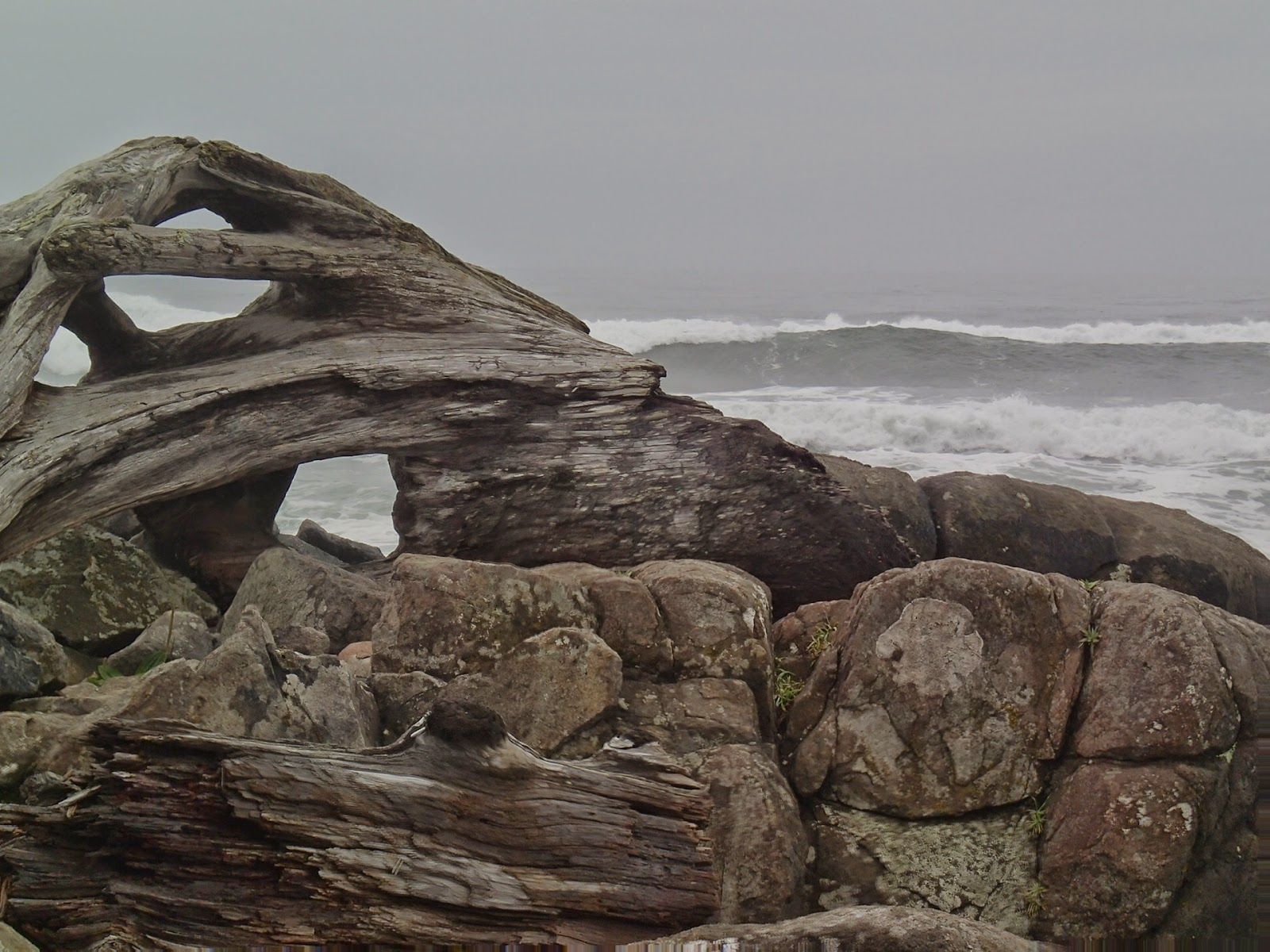 1600x1200 Casing Oregon: The Yachats 804 Trail: A Surfside Hike for Everyone