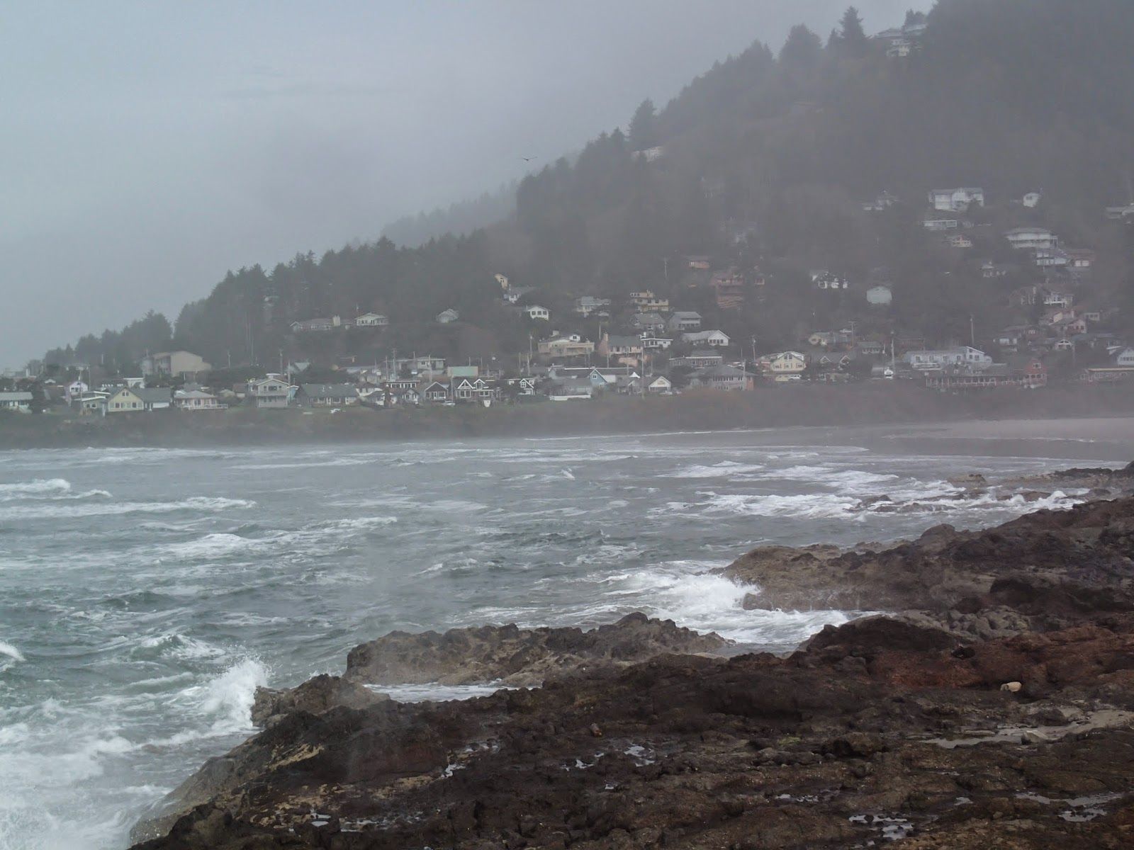 1600x1200 Casing Oregon: The Yachats 804 Trail: A Surfside Hike for Everyone