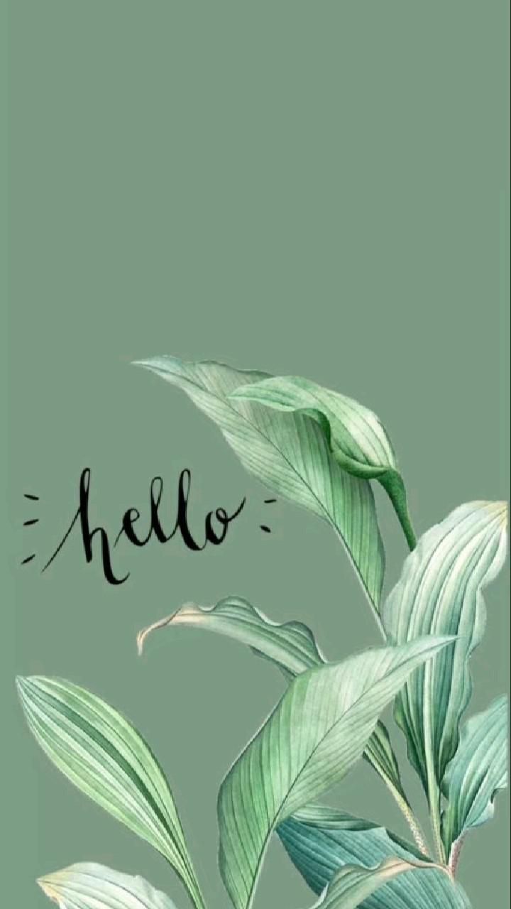 720x1280 wallpaper. wallpaper iphone. wallpaper aesthetic. wallpaper. wallpaper background