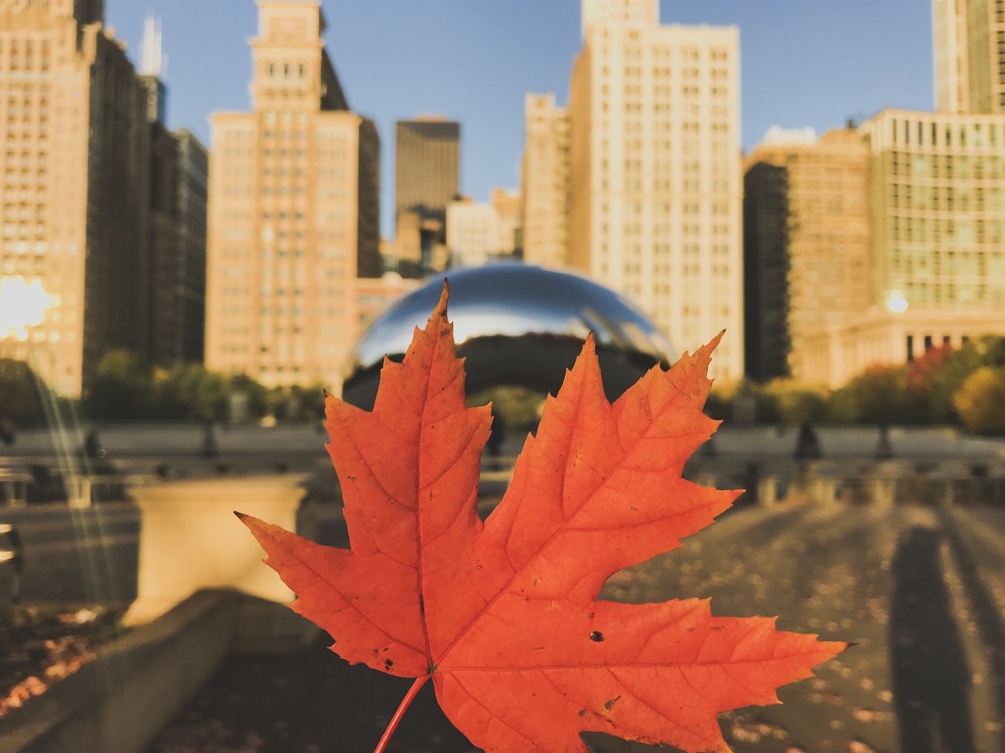 2048x1536 Autumn in Chicago: What to do and where to go the colors
