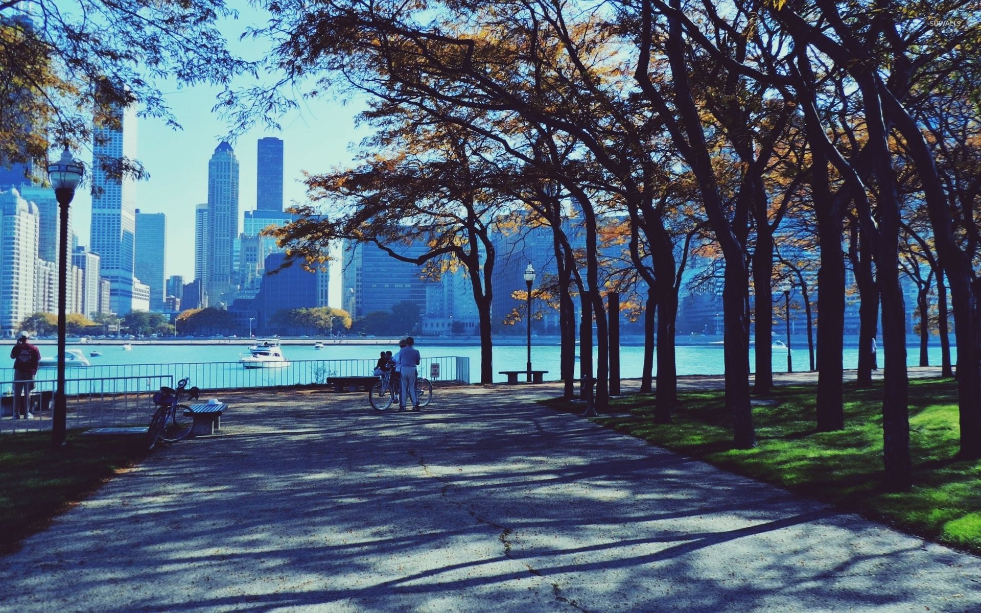 1920x1200 Autumn park in Chicago wallpaper wallpaper