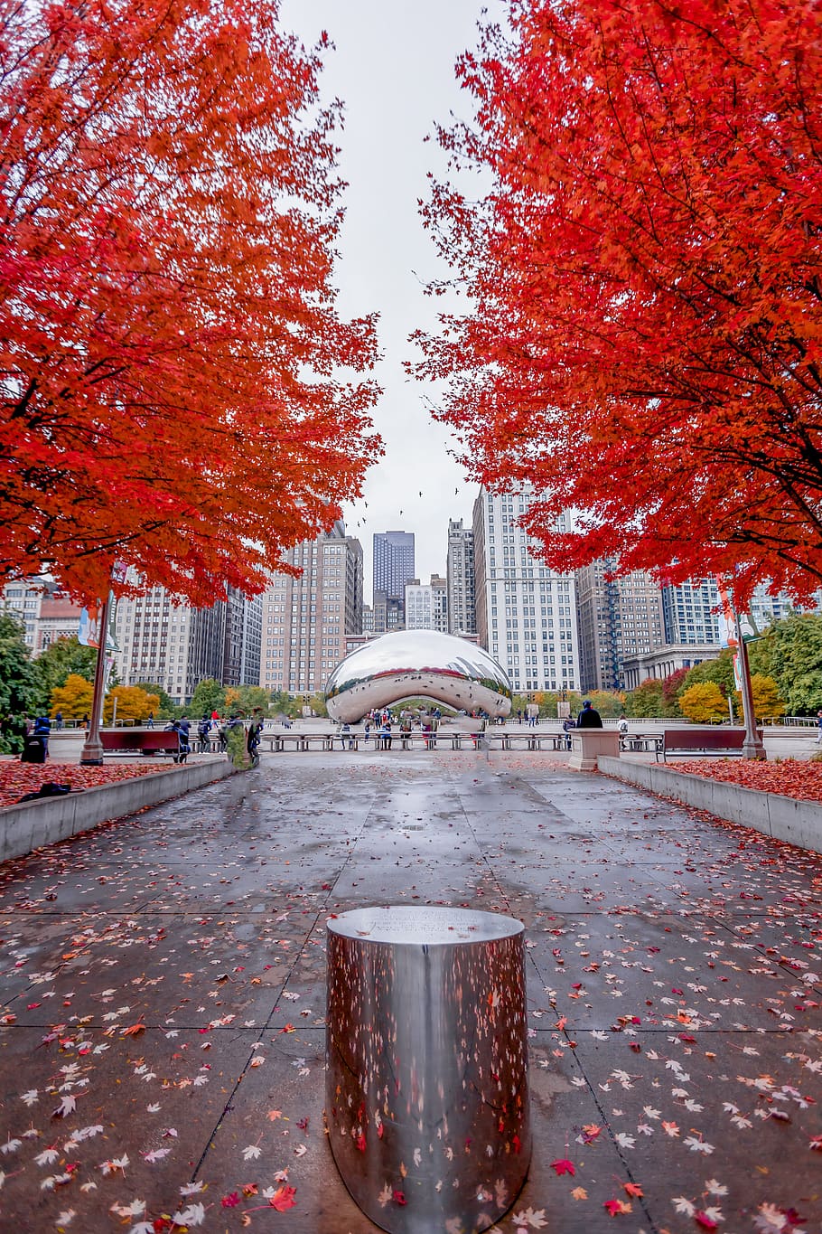 910x1365 Bean chicago 1080P, 2K, 4K, 5K HD wallpaper free download