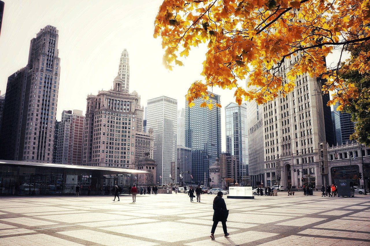 1280x853 Best Trees And Shrubs For Stunning Autumn Color In Chicago