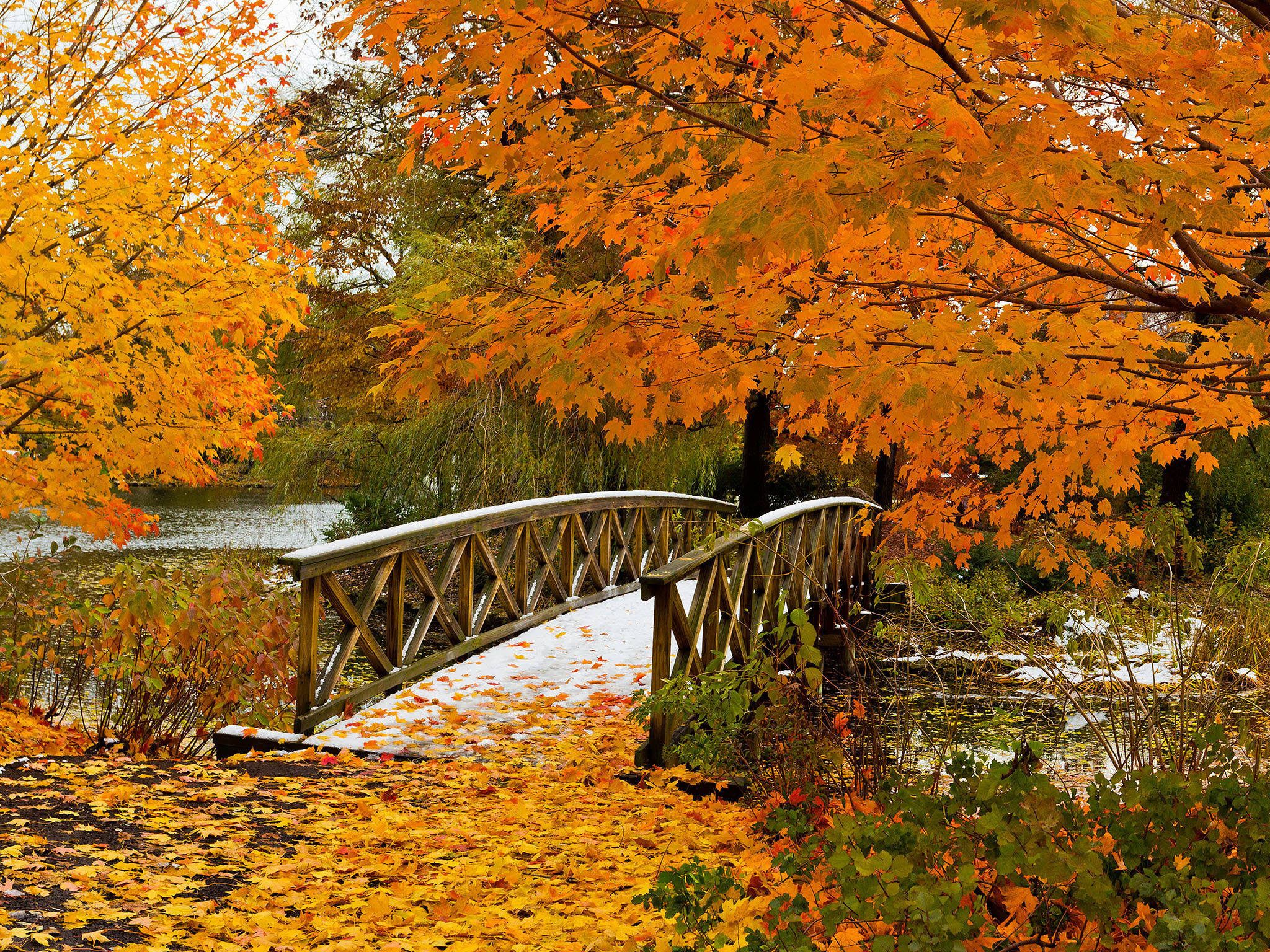 2048x1536 This map predicts when Chicago will hit its fall foliage peak