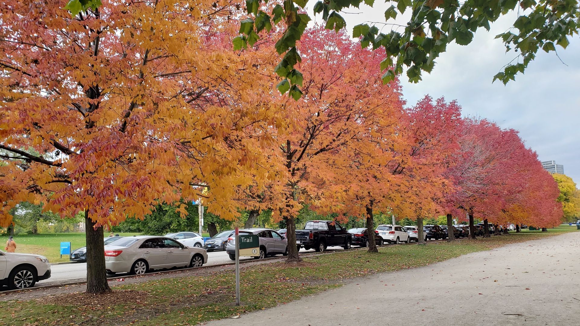 1920x1080 Best places to see fall colors in Chicago