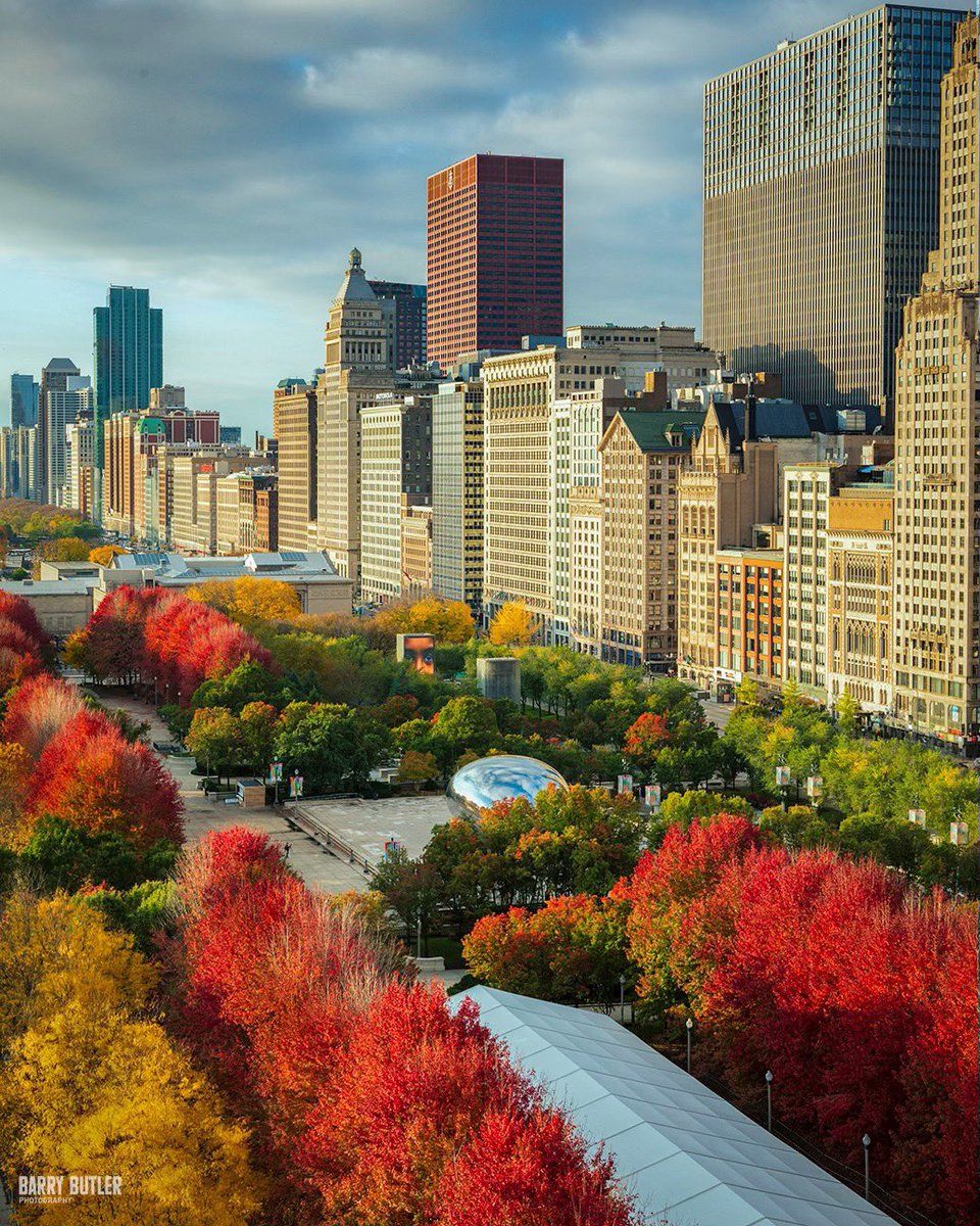 960x1200 Over the next couple of weeks, the autumn colors in downtown Chicago will start painting the landscape. It won't be long for them to appear.but here only for a short time. Make