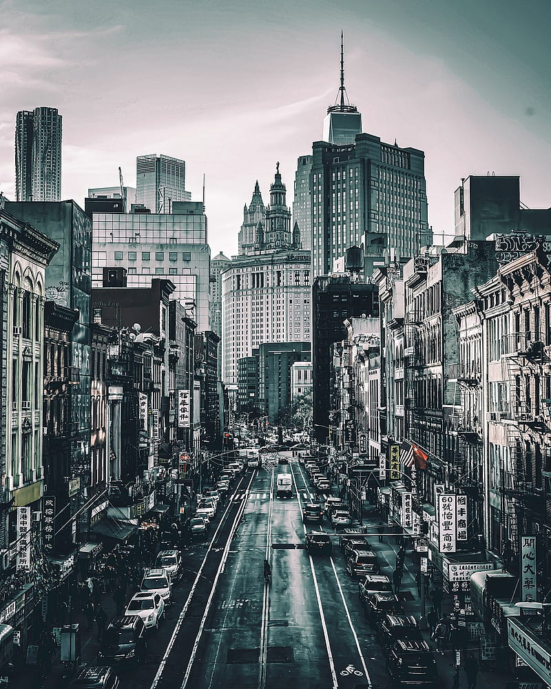 800x1000 HD autumn chicago wallpaper