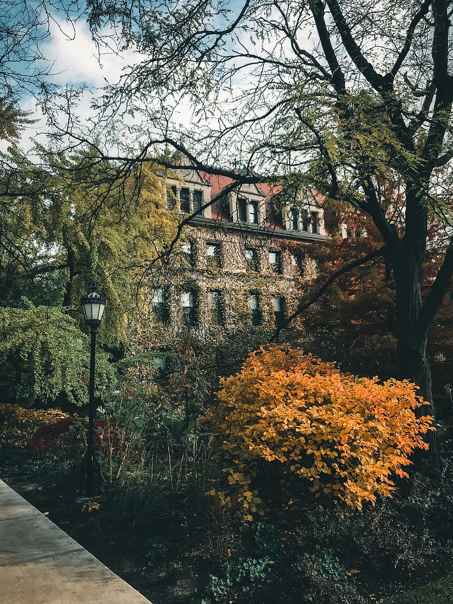 910x1213 Chicago fall 1080P, 2K, 4K, 5K HD wallpaper free download